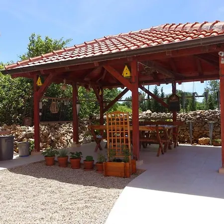 Apartment In Zadar With Sea View, Terrace, Air Conditioning, Wifi 3796-5