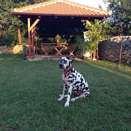 In Zadar With Sea View, Terrace, Air Conditioning, Wifi 3796-5 * Zaton (Zadar)