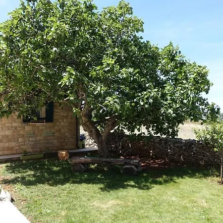Appartement In Zadar With Sea View, Terrace, Air Conditioning, Wifi 3796-5