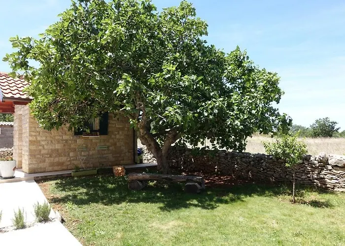 Lejlighed In Zadar With Sea View, Terrace, Air Conditioning, Wifi 3796-5